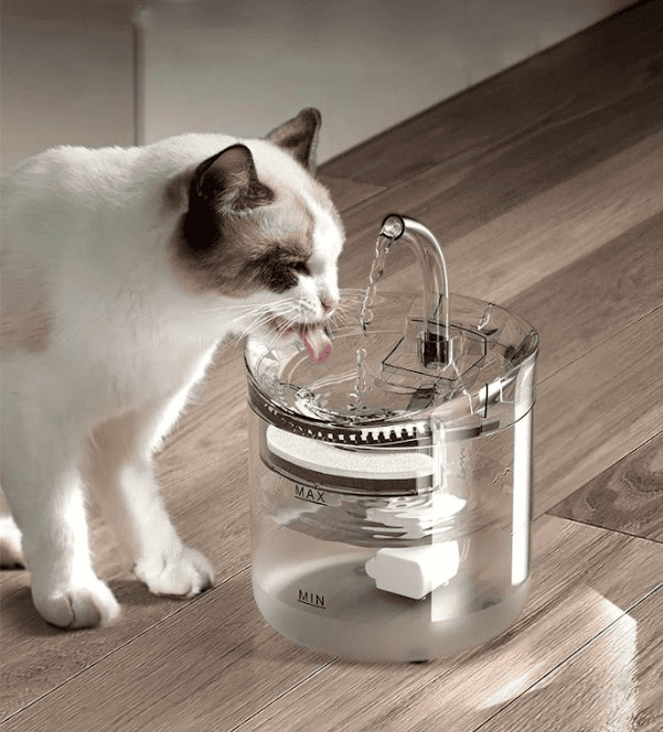 Fuente De Agua Bebedero De Mascotas